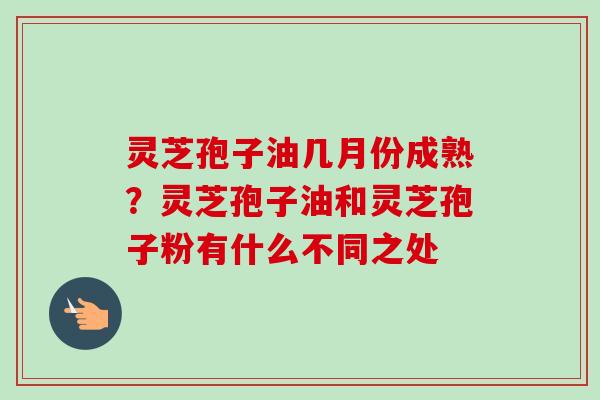 灵芝孢子油几月份成熟?灵芝孢子油和灵芝孢子粉有什么不同之处 灵芝孢子油几月份成熟?灵芝孢子油和灵芝孢子粉有什么不同之处