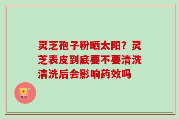 灵芝孢子粉晒太阳?灵芝表皮到底要不要清洗清洗后会影响吗 灵芝孢子粉晒太阳?灵芝表皮到底要不要清洗清洗后会影响吗
