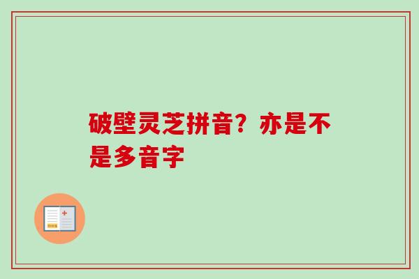 破壁灵芝拼音？亦是不是多音字
