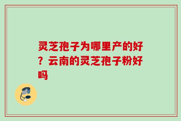 灵芝孢子为哪里产的好?云南的灵芝孢子粉好吗 灵芝孢子为哪里产的好?云南的灵芝孢子粉好吗