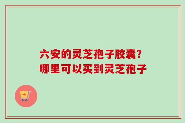 六安的灵芝孢子胶囊？哪里可以买到灵芝孢子