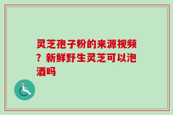 灵芝孢子粉的来源视频?新鲜野生灵芝可以泡酒吗 灵芝孢子粉的来源视频?新鲜野生灵芝可以泡酒吗