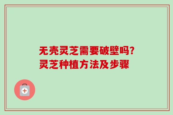 无壳灵芝需要破壁吗？灵芝种植方法及步骤