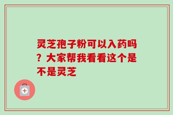 灵芝孢子粉可以入药吗?大家帮我看看这个是不是灵芝 灵芝孢子粉可以入药吗?大家帮我看看这个是不是灵芝