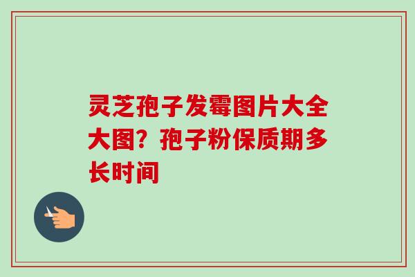灵芝孢子发霉图片大全大图?孢子粉保质期多长时间 灵芝孢子发霉图片大全大图?孢子粉保质期多长时间