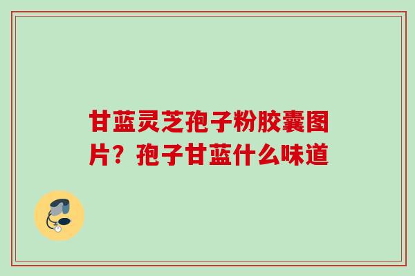 甘蓝灵芝孢子粉胶囊图片？孢子甘蓝什么味道