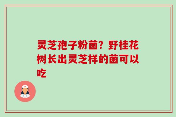 灵芝孢子粉菌?野桂花树长出灵芝样的菌可以吃 灵芝孢子粉菌?野桂花树长出灵芝样的菌可以吃