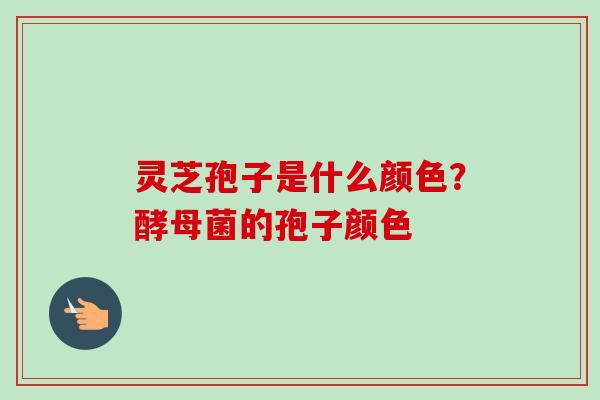 灵芝孢子是什么颜色?酵母菌的孢子颜色 灵芝孢子是什么颜色?酵母菌的孢子颜色