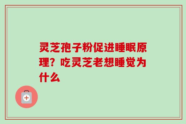 灵芝孢子粉促进原理?吃灵芝老想睡觉为什么 灵芝孢子粉促进原理?吃灵芝老想睡觉为什么