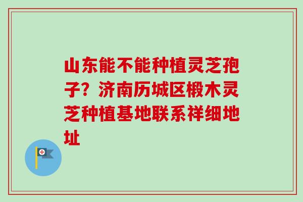山东能不能种植灵芝孢子?济南历城区椴木灵芝种植基地联系祥细地址 山东能不能种植灵芝孢子?济南历城区椴木灵芝种植基地联系祥细地址