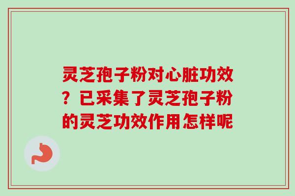 灵芝孢子粉对功效？已采集了灵芝孢子粉的灵芝功效作用怎样呢