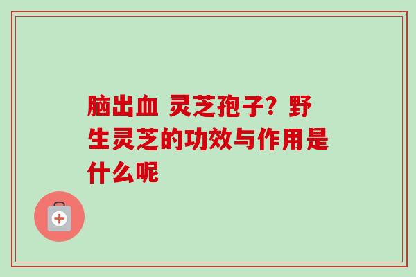 脑出 灵芝孢子?野生灵芝的功效与作用是什么呢 脑出 灵芝孢子?野生灵芝的功效与作用是什么呢