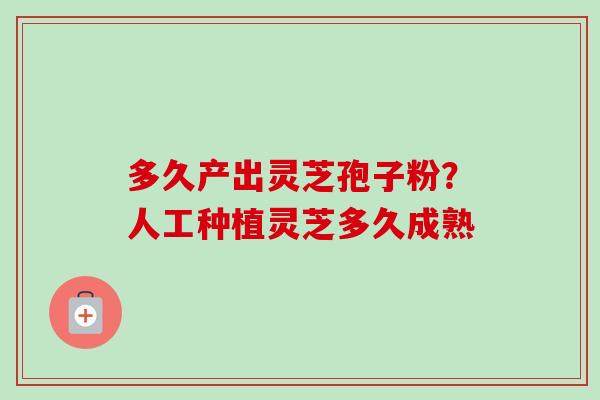 多久产出灵芝孢子粉?人工种植灵芝多久成熟 多久产出灵芝孢子粉?人工种植灵芝多久成熟