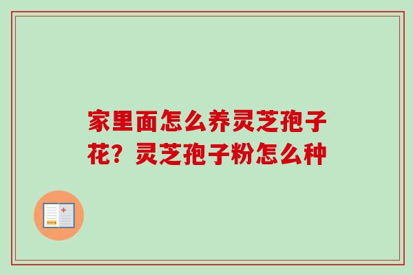 家里面怎么养灵芝孢子花？灵芝孢子粉怎么种