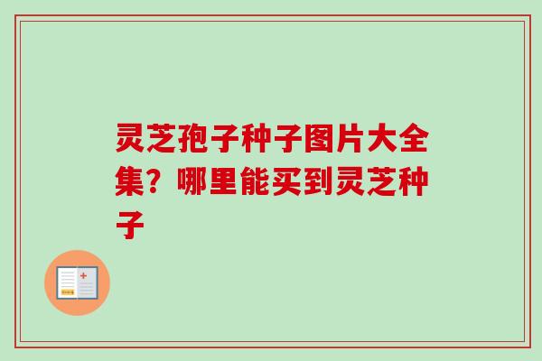 灵芝孢子种子图片大全集?哪里能买到灵芝种子 灵芝孢子种子图片大全集?哪里能买到灵芝种子