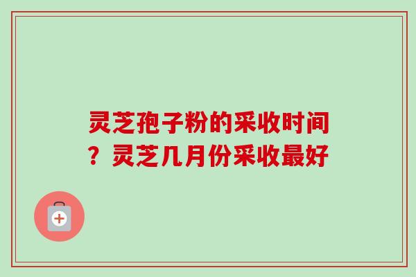 灵芝孢子粉的采收时间?灵芝几月份采收好 灵芝孢子粉的采收时间?灵芝几月份采收好