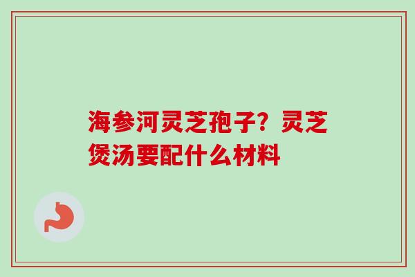 海参河灵芝孢子？灵芝煲汤要配什么材料