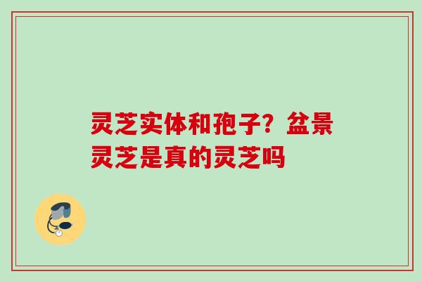 灵芝实体和孢子？盆景灵芝是真的灵芝吗