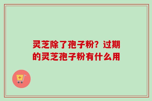 灵芝除了孢子粉?过期的灵芝孢子粉有什么用 灵芝除了孢子粉?过期的灵芝孢子粉有什么用