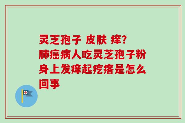 灵芝孢子  痒？人吃灵芝孢子粉身上发痒起疙瘩是怎么回事