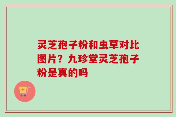 灵芝孢子粉和虫草对比图片?九珍堂灵芝孢子粉是真的吗 灵芝孢子粉和虫草对比图片?九珍堂灵芝孢子粉是真的吗