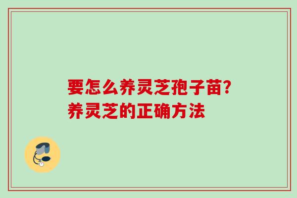 要怎么养灵芝孢子苗？养灵芝的正确方法