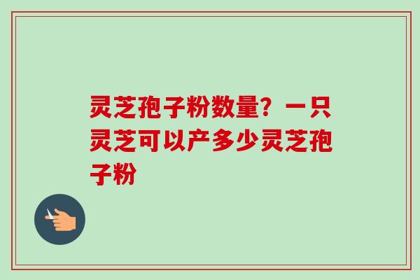 灵芝孢子粉数量？一只灵芝可以产多少灵芝孢子粉