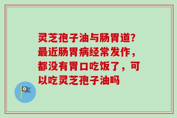 灵芝孢子油与肠胃道?近肠胃经常发作,都没有胃口吃饭了,可以吃灵芝孢子油吗 灵芝孢子油与肠胃道?近肠胃经常发作,都没有胃口吃饭了,可以吃灵芝孢子油吗