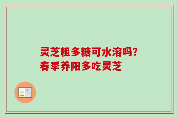 灵芝粗多糖可水溶吗?春季养阳多吃灵芝 灵芝粗多糖可水溶吗?春季养阳多吃灵芝