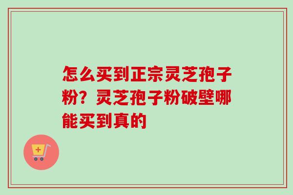 怎么买到正宗灵芝孢子粉?灵芝孢子粉破壁哪能买到真的 怎么买到正宗灵芝孢子粉?灵芝孢子粉破壁哪能买到真的