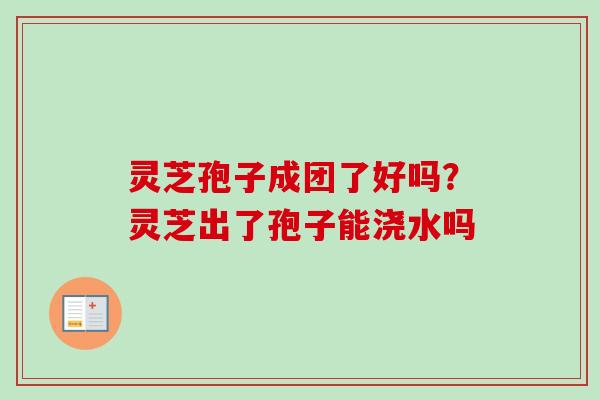 灵芝孢子成团了好吗?灵芝出了孢子能浇水吗 灵芝孢子成团了好吗?灵芝出了孢子能浇水吗