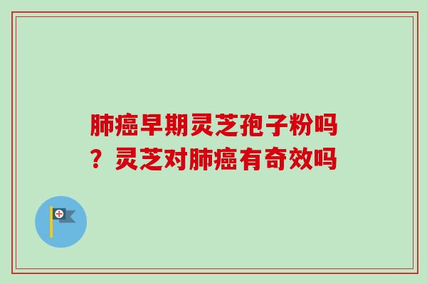 早期灵芝孢子粉吗?灵芝对有奇效吗 早期灵芝孢子粉吗?灵芝对有奇效吗