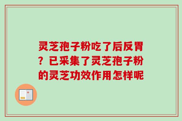 灵芝孢子粉吃了后反胃?已采集了灵芝孢子粉的灵芝功效作用怎样呢 灵芝孢子粉吃了后反胃?已采集了灵芝孢子粉的灵芝功效作用怎样呢