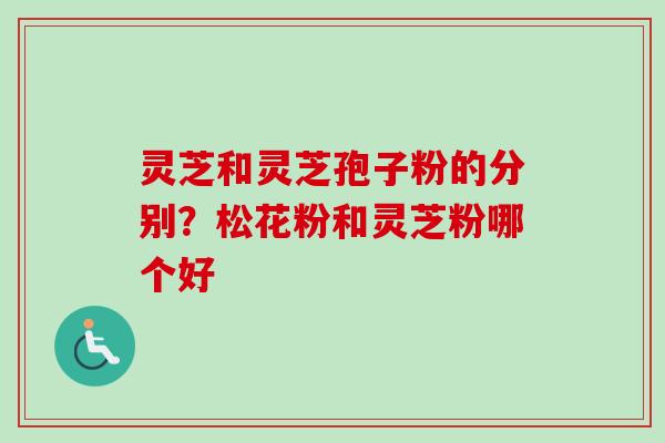 灵芝和灵芝孢子粉的分别?松花粉和灵芝粉哪个好 灵芝和灵芝孢子粉的分别?松花粉和灵芝粉哪个好
