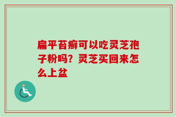 扁平苔癣可以吃灵芝孢子粉吗？灵芝买回来怎么上盆