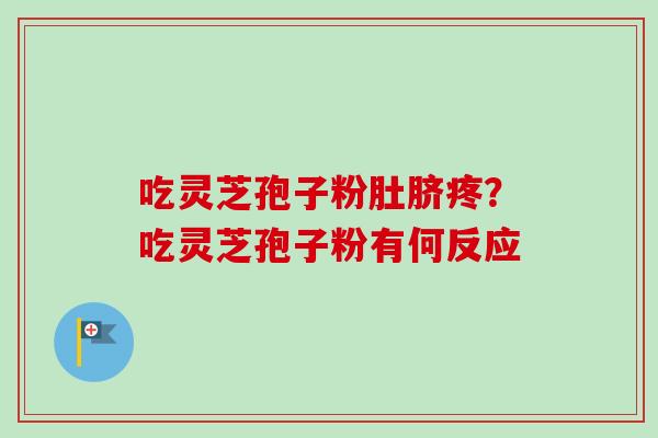 吃灵芝孢子粉肚脐疼？吃灵芝孢子粉有何反应