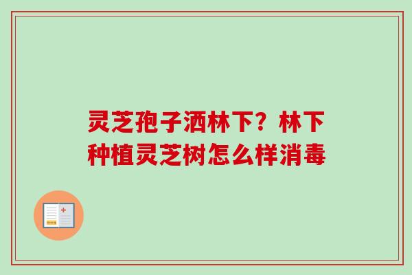 灵芝孢子洒林下?林下种植灵芝树怎么样消毒 灵芝孢子洒林下?林下种植灵芝树怎么样消毒