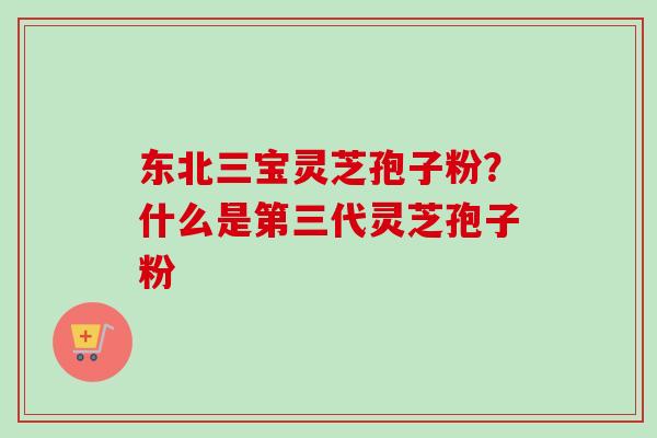 东北三宝灵芝孢子粉?什么是第三代灵芝孢子粉 东北三宝灵芝孢子粉?什么是第三代灵芝孢子粉