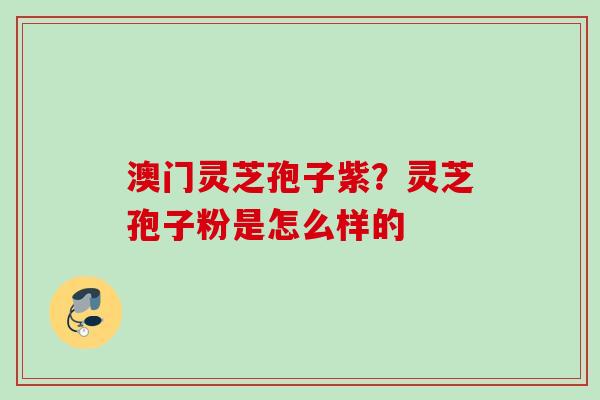 澳门灵芝孢子紫?灵芝孢子粉是怎么样的 澳门灵芝孢子紫?灵芝孢子粉是怎么样的