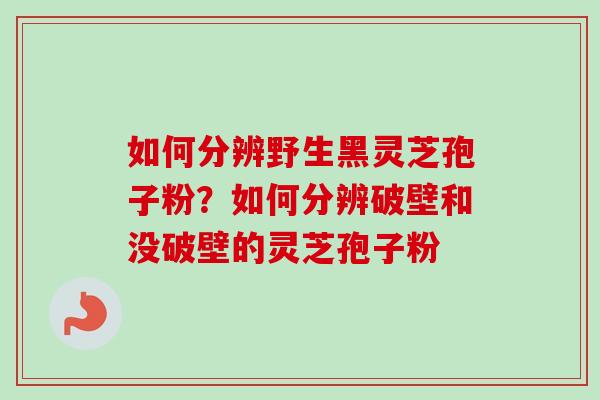 如何分辨野生黑灵芝孢子粉?如何分辨破壁和没破壁的灵芝孢子粉 如何分辨野生黑灵芝孢子粉?如何分辨破壁和没破壁的灵芝孢子粉