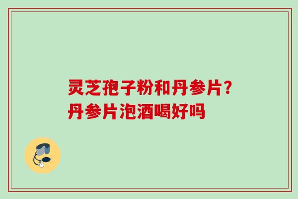 灵芝孢子粉和丹参片?丹参片泡酒喝好吗 灵芝孢子粉和丹参片?丹参片泡酒喝好吗