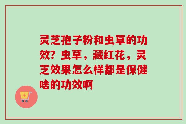 灵芝孢子粉和虫草的功效？虫草，藏红花，灵芝效果怎么样都是保健啥的功效啊