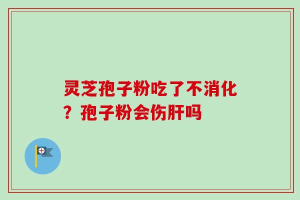 灵芝孢子粉吃了不消化？孢子粉会伤吗