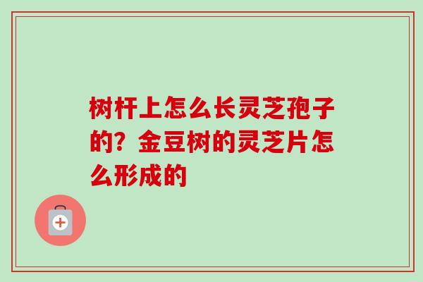 树杆上怎么长灵芝孢子的?金豆树的灵芝片怎么形成的 树杆上怎么长灵芝孢子的?金豆树的灵芝片怎么形成的