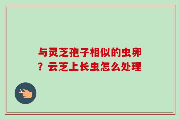 与灵芝孢子相似的虫卵?云芝上长虫怎么处理 与灵芝孢子相似的虫卵?云芝上长虫怎么处理