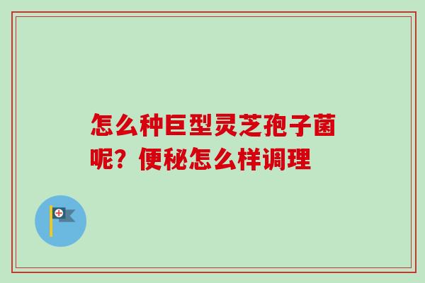 怎么种巨型灵芝孢子菌呢?怎么样调理 怎么种巨型灵芝孢子菌呢?怎么样调理