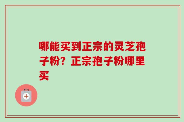 哪能买到正宗的灵芝孢子粉?正宗孢子粉哪里买 哪能买到正宗的灵芝孢子粉?正宗孢子粉哪里买