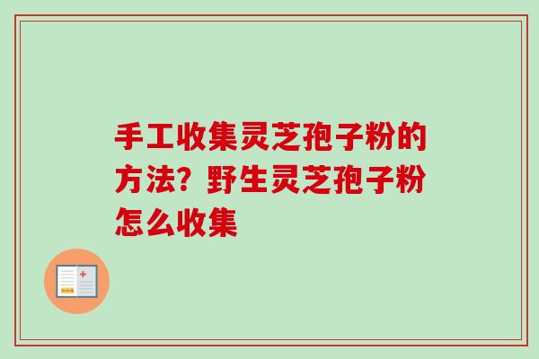 手工收集灵芝孢子粉的方法?野生灵芝孢子粉怎么收集 手工收集灵芝孢子粉的方法?野生灵芝孢子粉怎么收集