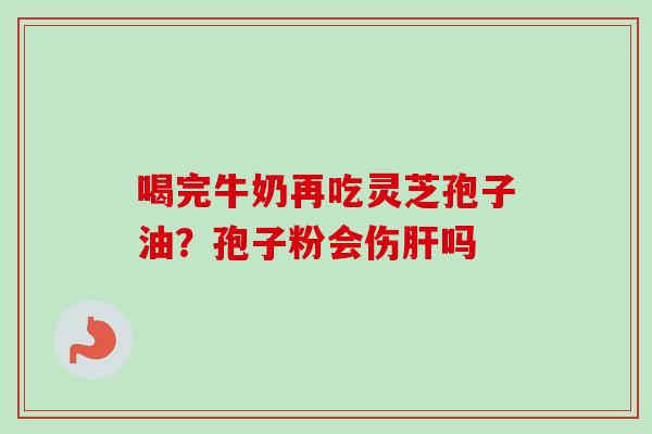 喝完牛奶再吃灵芝孢子油？孢子粉会伤吗
