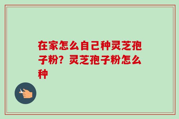 在家怎么自己种灵芝孢子粉?灵芝孢子粉怎么种 在家怎么自己种灵芝孢子粉?灵芝孢子粉怎么种